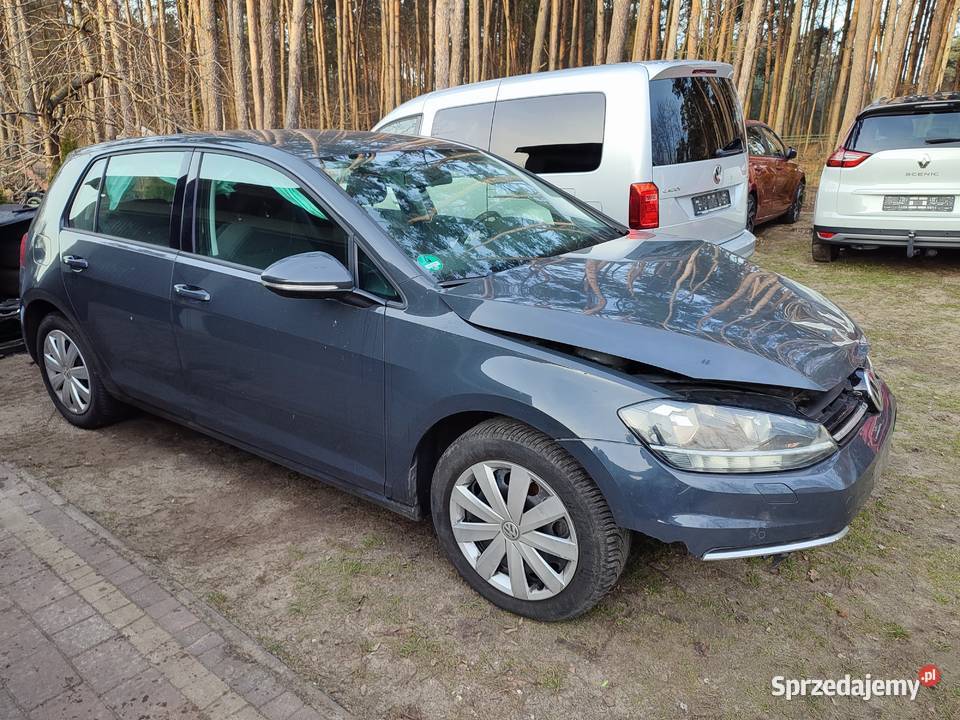 Volkswagen Golf VII Dokumentacja przebiegu 2 serwisowany w ASO wielkopolskie Turek