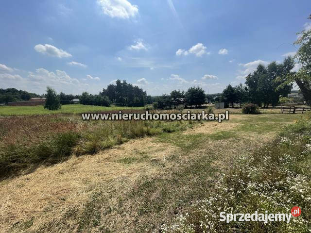 Działka do sprzedania Skrzyszów 3498m2 śląskie