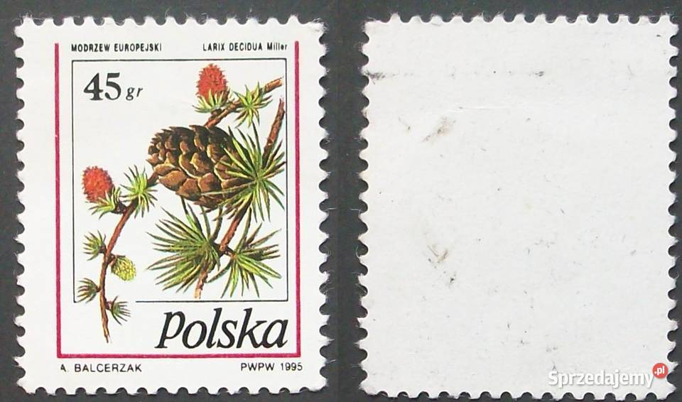 L Znaczki polskie rocznik 1995 mieszany Filatelistyka Leźnica Wielka-Osiedle