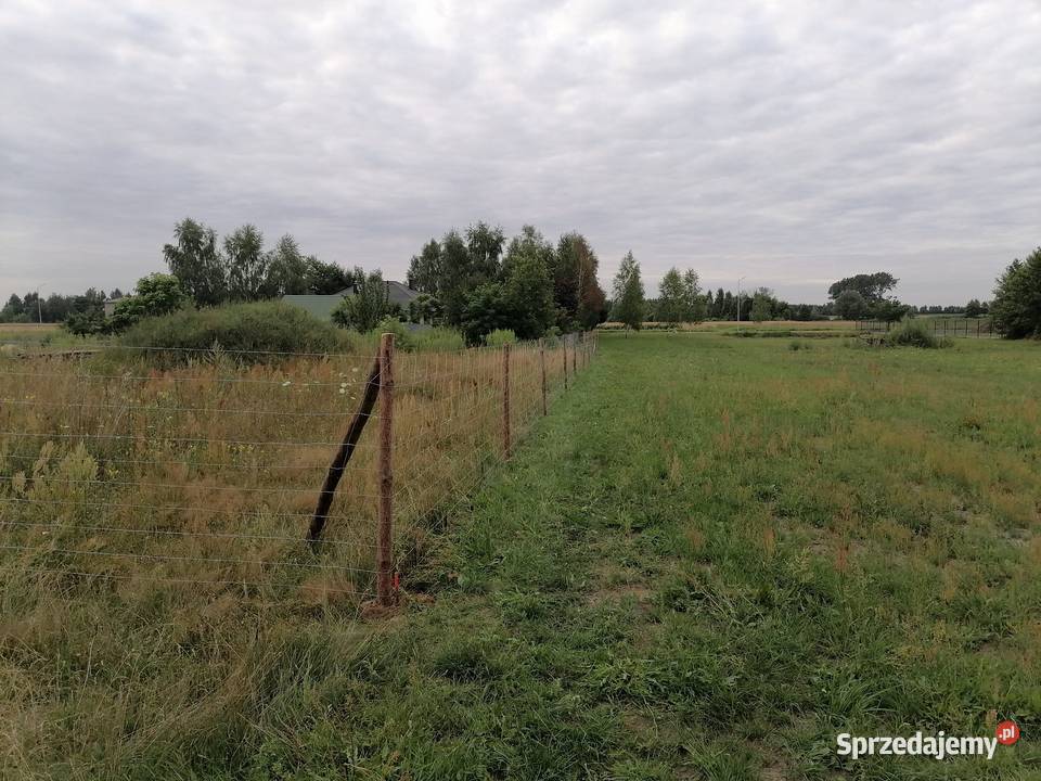 ogrodzenia tymczasowe ogrodzenia z siatki leśnej Ogrodzenia i bramy łódzkie Zgierz sprzedam