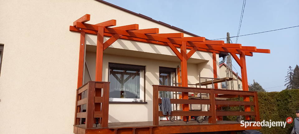 kantówki szkielet Błotnica Strzelecka