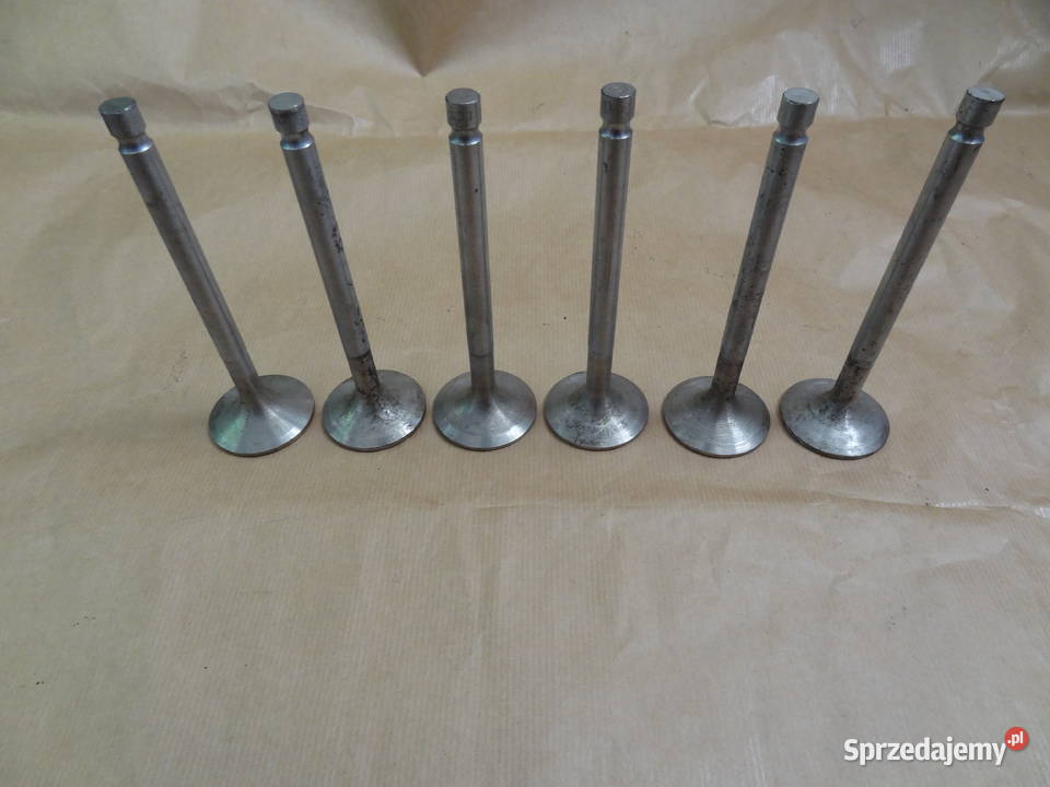 Zawory zawór wydechowy turbo silnik Leyland Pozostałe Rzeszów