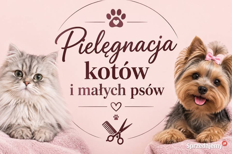 Pielęgnacja kotów i małych psów ŁÓDŹ