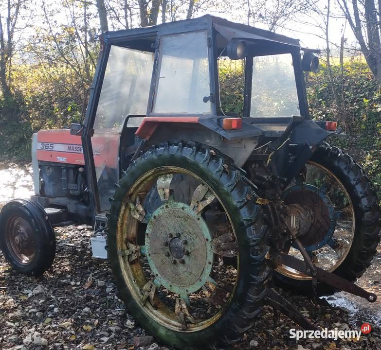Massey Ferguson 365