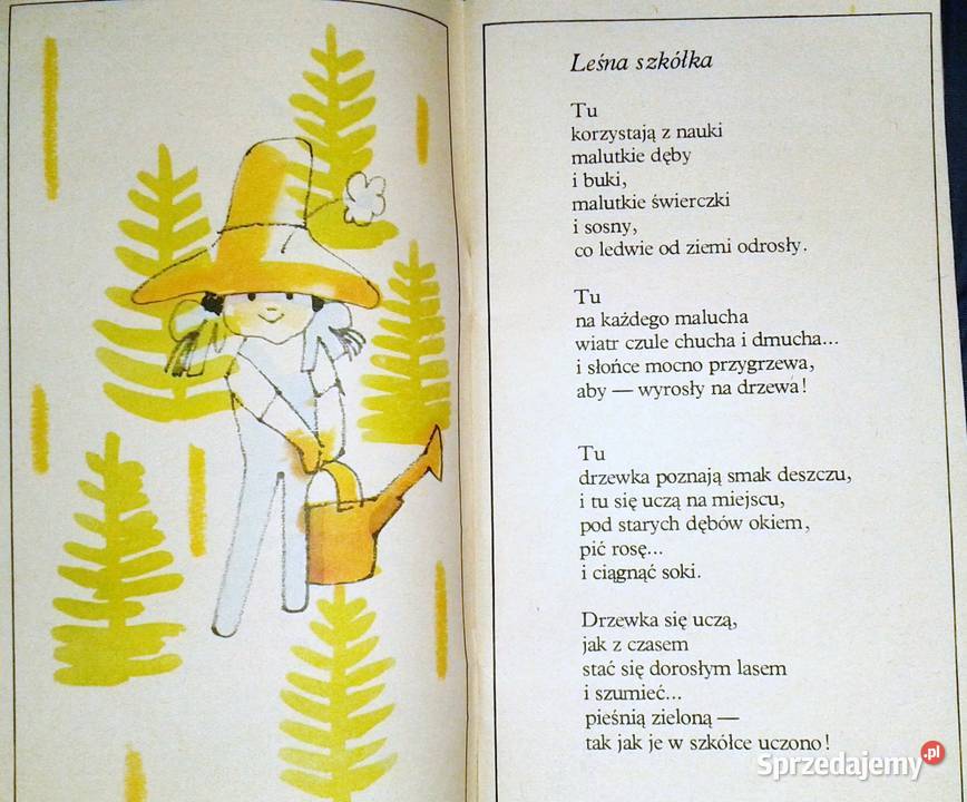 Złote bursztyny Halina Szayerowa Chełm