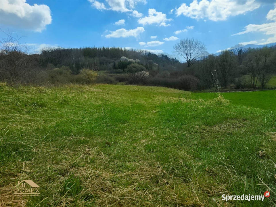 Grunt 1110m2 Wieprz Sprzedaż