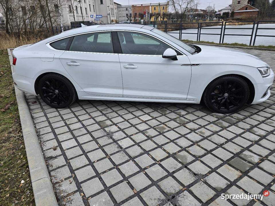Audi A5 F5 20 TFSI 254 4/5 świętokrzyskie Kazimierza Wielka