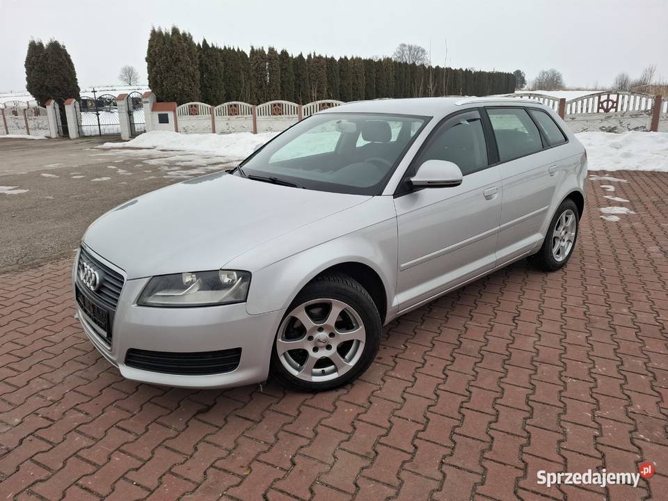 Audi a3 16 MPI 102 SerwisBezwypadekZadbany Pawłów