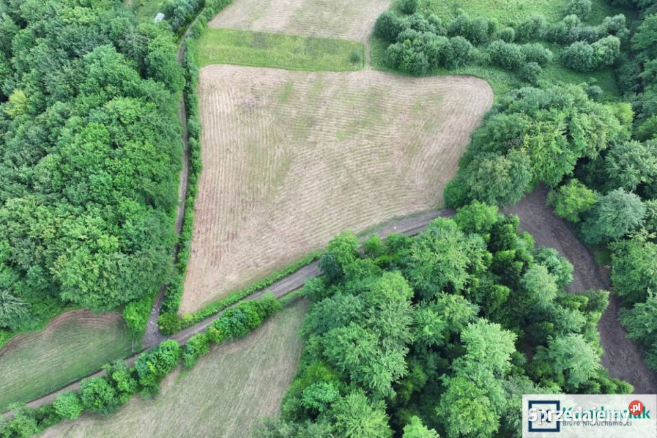 Grunt 5660m2 Myczków podkarpackie sprzedam