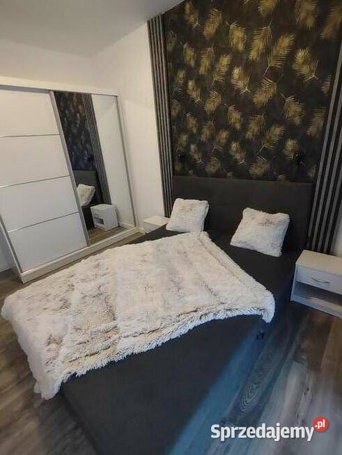 Wynajem Sarni Stok BielskoB 48m2 Bielsko-Biała
