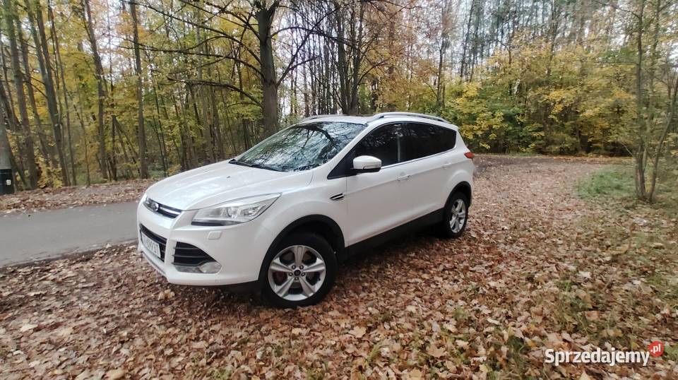 Ford Kuga 20 163 Bełk