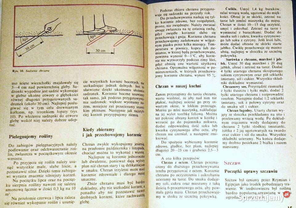 Nie trzeba ich sadzić co roku E TraczewskaZych Chełm