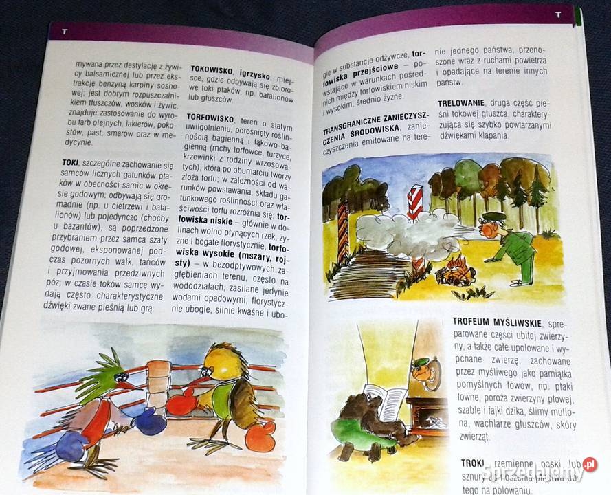 Las słowami opisany Słowniczek terminów leśnych Rok wydania 2004 Chełm