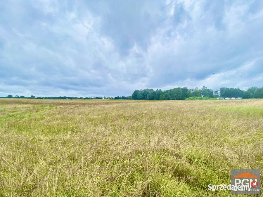 Działka 3000m2 Gryfice zachodniopomorskie sprzedam