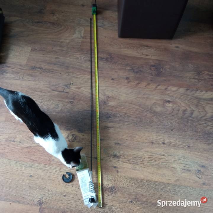 Samochodowa antena radiowa Katherine 120 NOWA Szczecin sprzedam