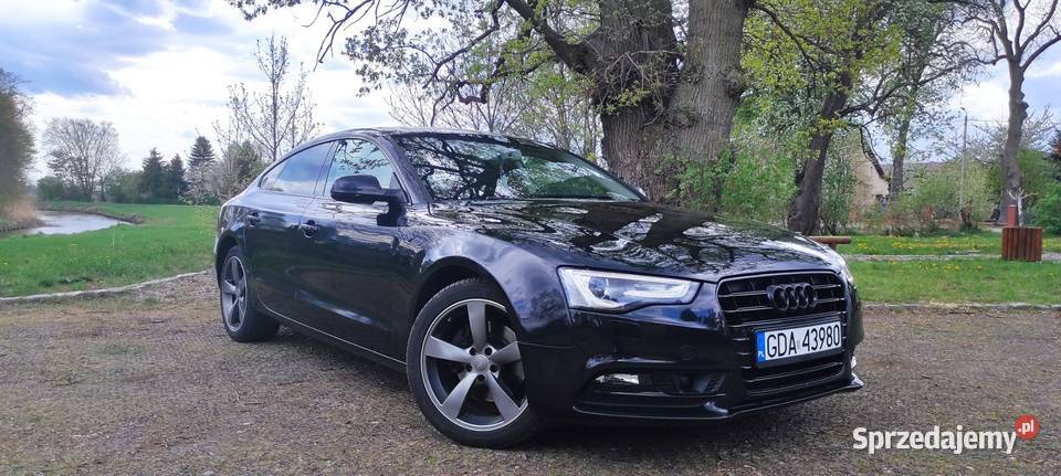BLACK A5 SPORTBACK 20 TDI 190 BIXENON RADAR 2 światła LED Suchy Dąb