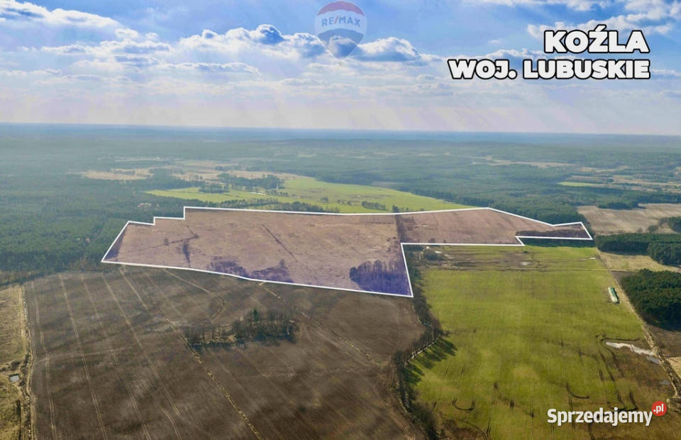 Działka rolna na sprzedaż aż 925 ha Koźla