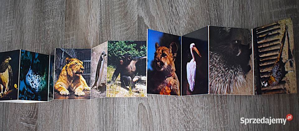 Ogród zoologiczny wybrzeża małe pocztówki w kujawsko-pomorskie