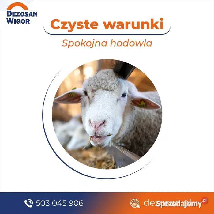 Dezosan Wigor do suchej dezynfekcji 500 DOSTAWA Pleszew