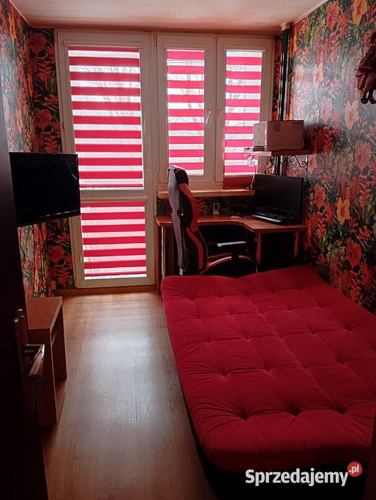 Mieszkanie do wynajęcia Łódź