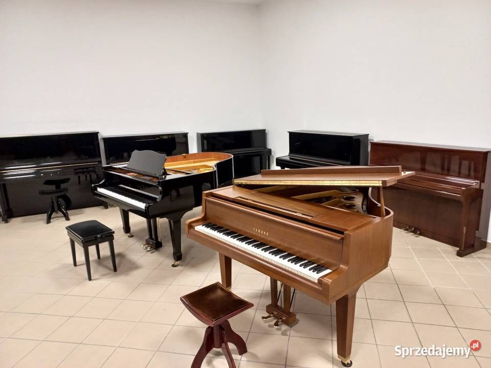 Pianino Calisia model Chippendalle stan nowe Brzesko