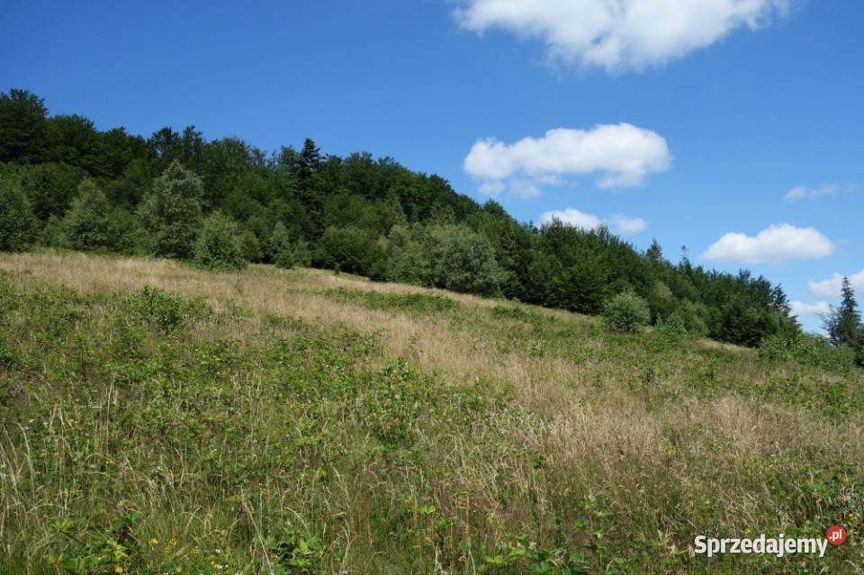 Brenna 253 ha pod zabudowe i domki letniskowe