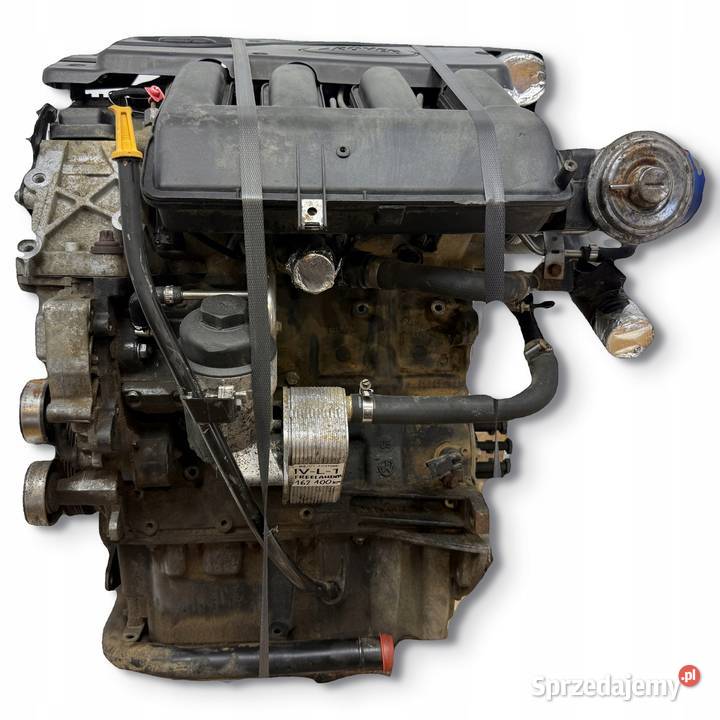 SILNIK 204D3 Land Rover Freelander 20 TD4 M47R Chełm sprzedam