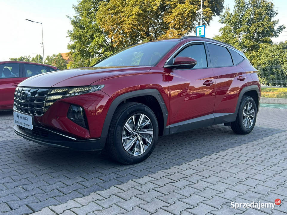 Hyundai Tucson 16TGDI HEV 4WD 230 AT Executive ABS Piotrków Trybunalski