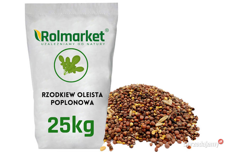 Mieszanka Gorczyca poplonowa Rzodkiew Nasiona Rośliny na biomasę Cieśle