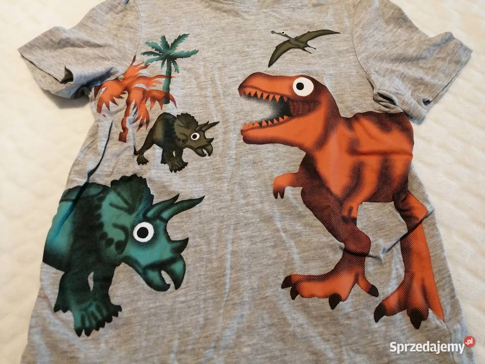 Koszulka krótki rękaw Tshirt dinozaury 116 CA śląskie