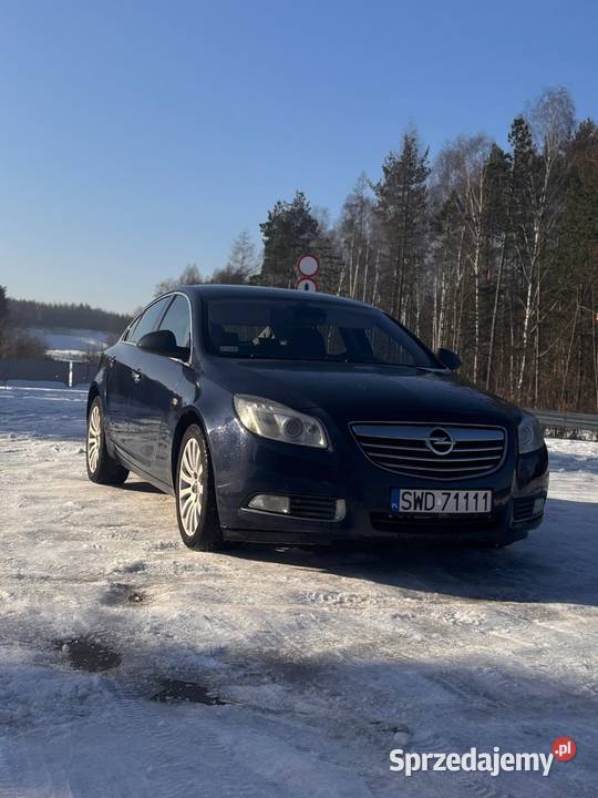 Opel Insignia Cosmo 130KM Małobądz