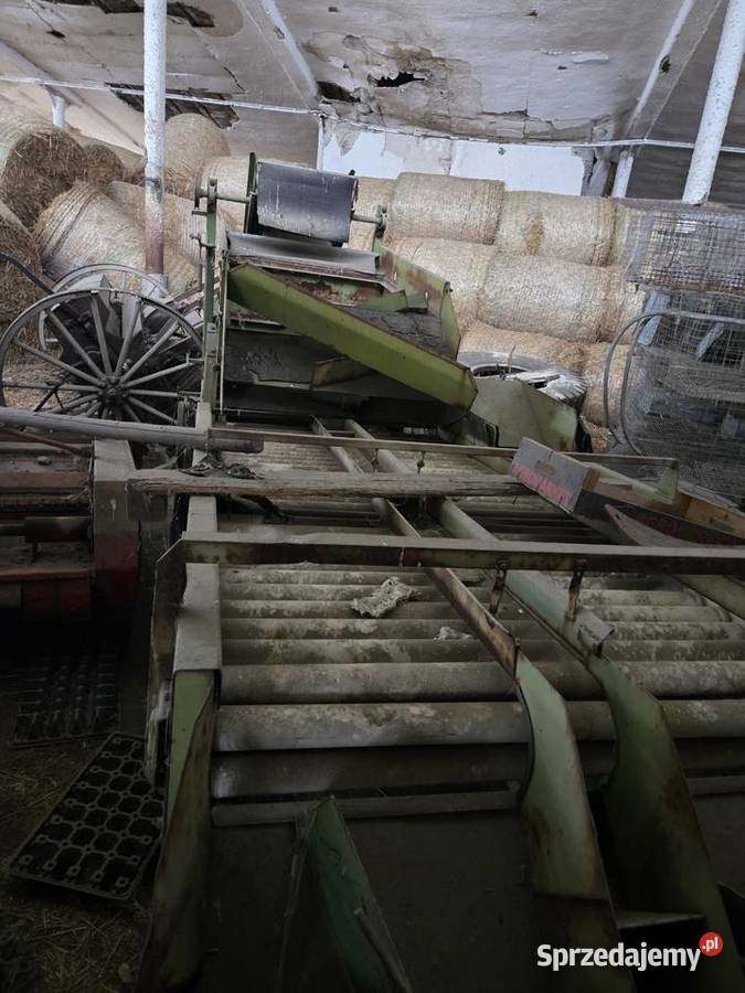 Sortownik warzyw ziemniaków opolskie