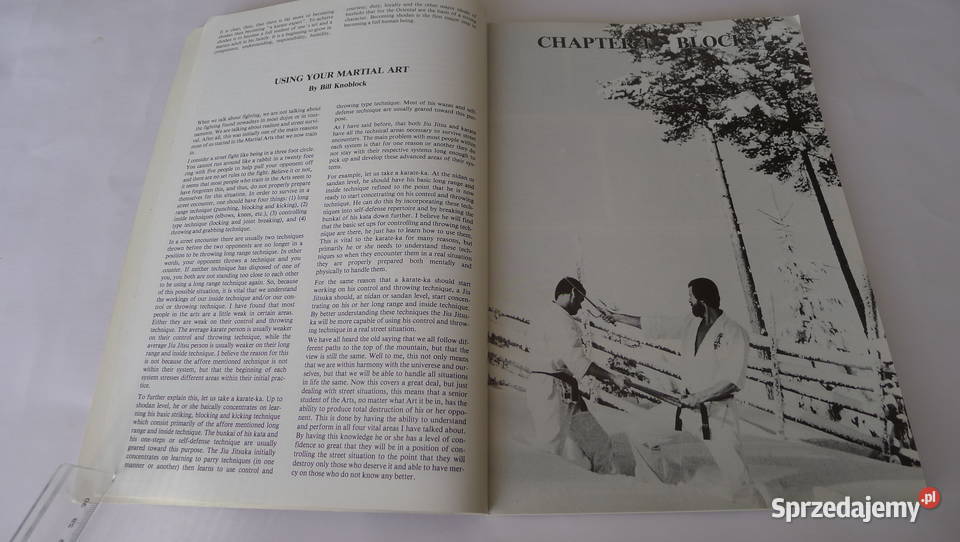 Cook Power Karate t III 1985 Oyama ArneilFitkin mazowieckie Radom