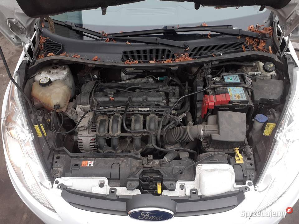 SILNIK FORD FIESTA MK6 VI 125 60 STJA