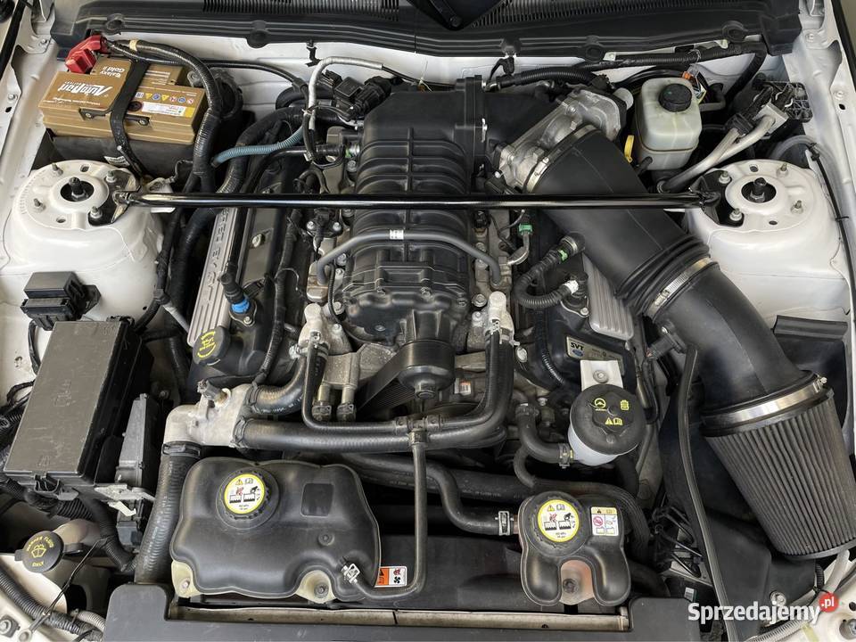 Ford Mustang SHELBY GT500 54 kompresor 500 niski Lublin