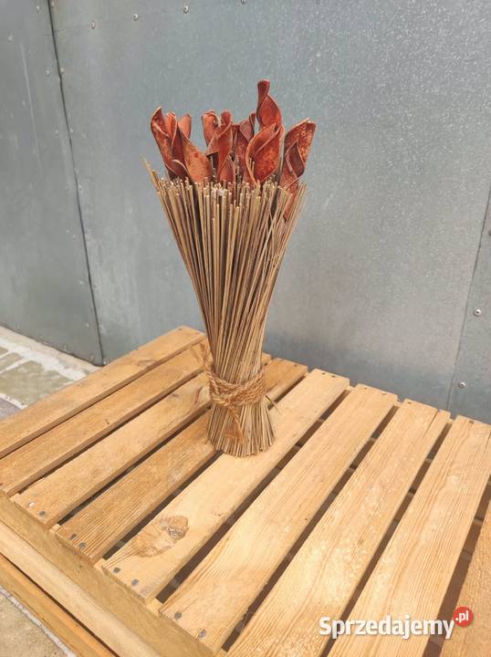 Bukiet z suszu egzotycznego boho naturalna Podkałek