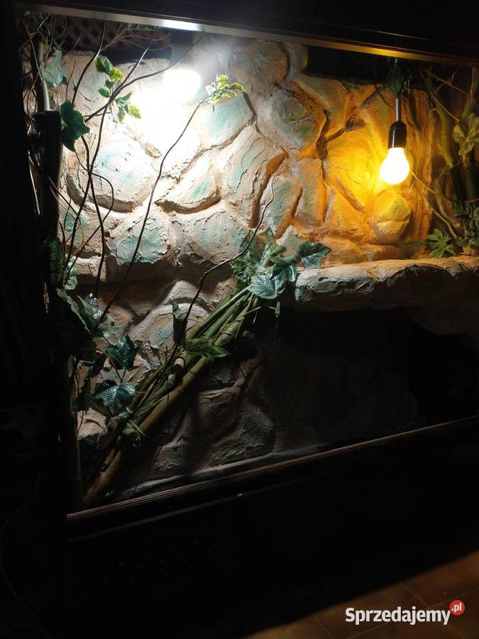 Terrarium paludarium na każdą kieszeń Jarosław