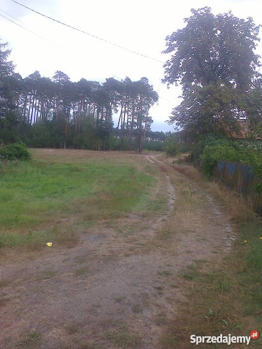 Sprzedam siedlisko w Puszczy Rządowej koło Domy Puszcza Rządowa