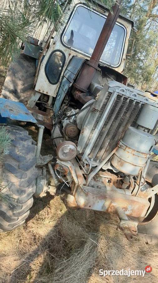 Sprzedam zamienię Ciągnik forstchritt Maków Mazowiecki sprzedam