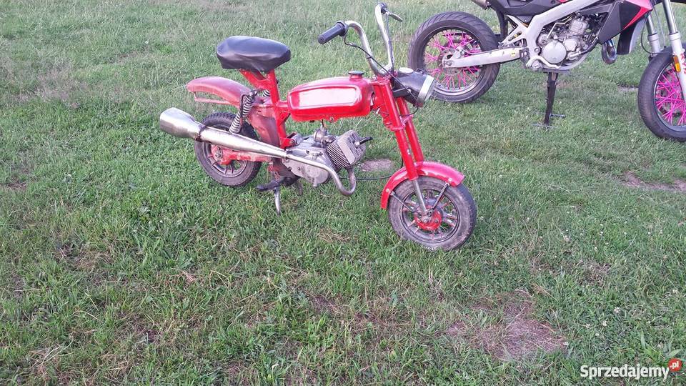 Motorynka romet pony Krowica Lasowa