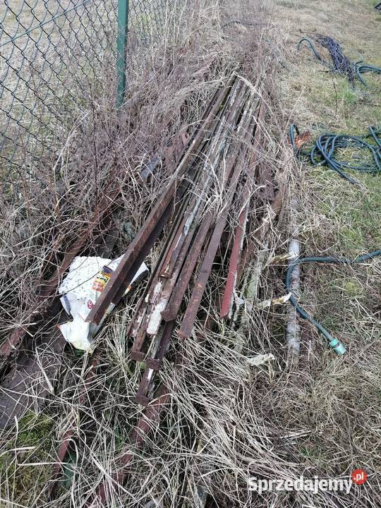 teownik ceownik dwuteownik podkarpackie Rzeszów