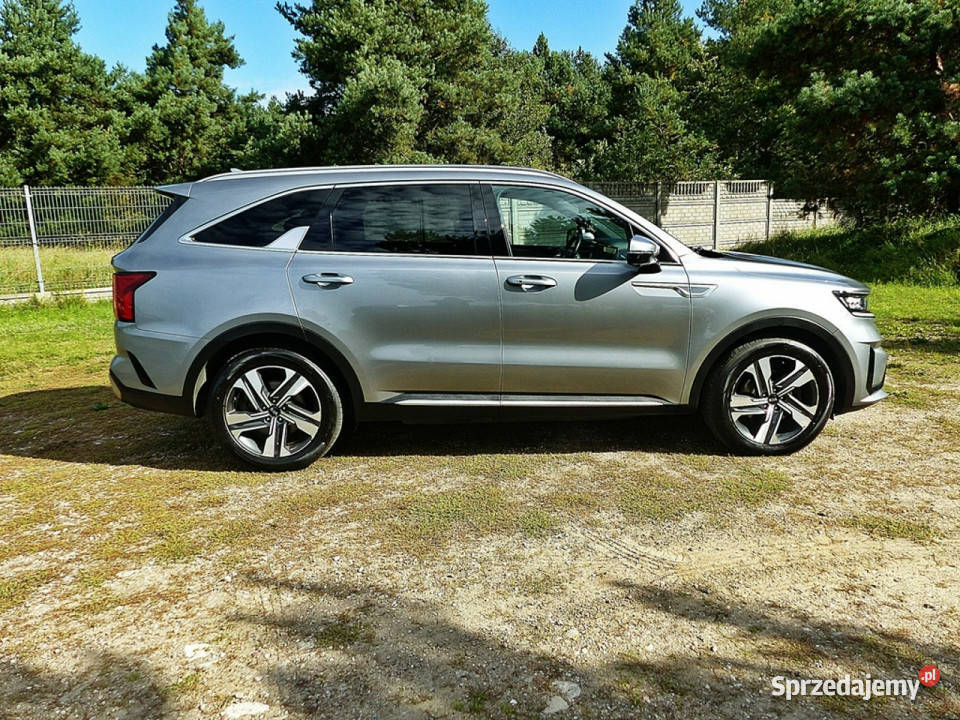 Kia Sorento 16 TGDI HEV lakier metallic Samochody osobowe wielkopolskie Piła