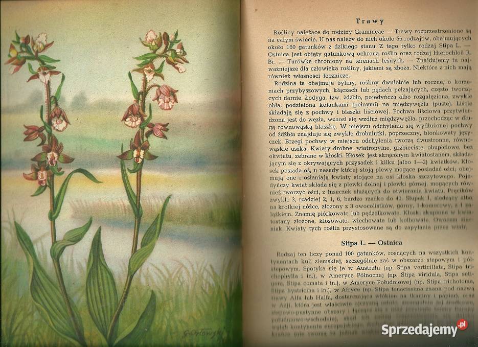 Przewodnik do oznaczania zbiorowisk roślinnych łódzkie Łódź