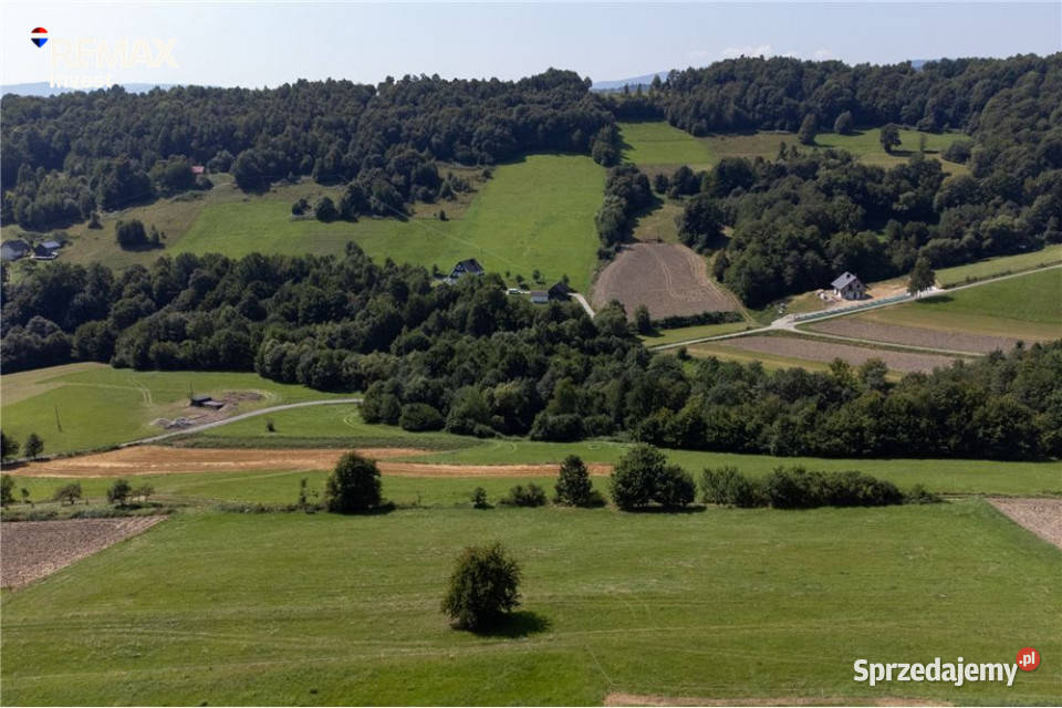 Grunty 5 400 m widok las i działka z WZ Młynne