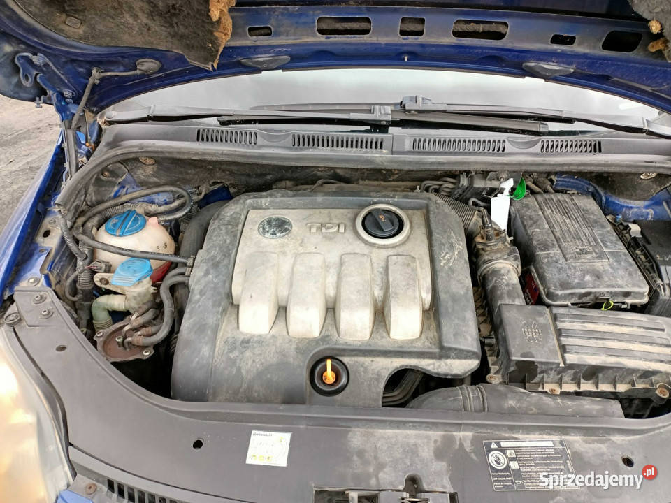 Volkswagen Golf Plus Volkswagen Golf Plus 19TDI Tarnów sprzedam