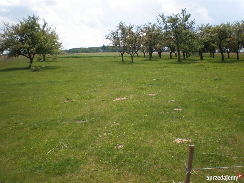 Działka przemysłowousługowa na sprzedaż asfalt wielkopolskie Bratuszyn