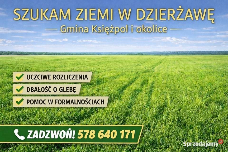Przyjmę ziemię w dzierżawę gmina Księżpol Rakówka