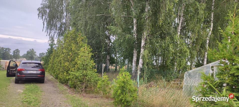 Dom Garaż hala działka wielkopolskie