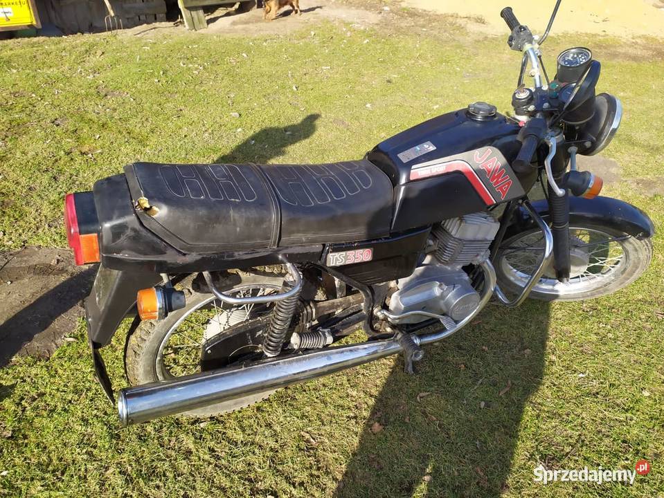Jawa 350 TS zarejestrowana Serokomla