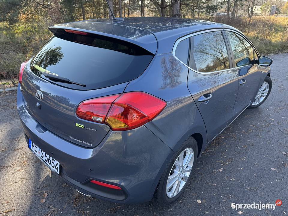 KIA CEED 16CRDI 128 2013r Navi kamera czujniki śląskie Kroczyce